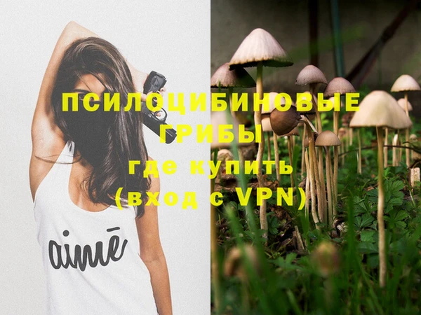 бутират Алзамай