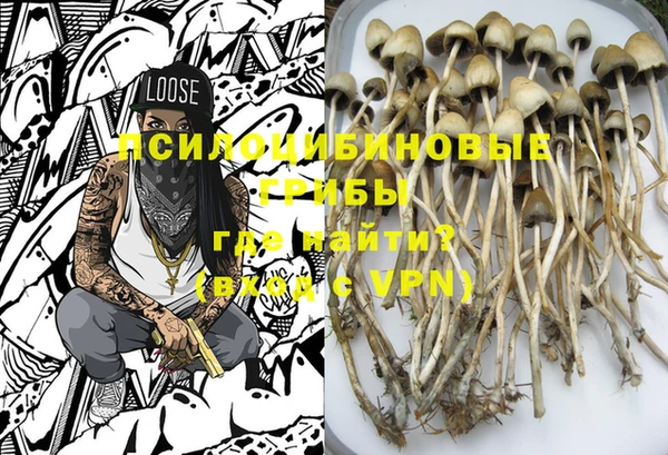индика Абдулино
