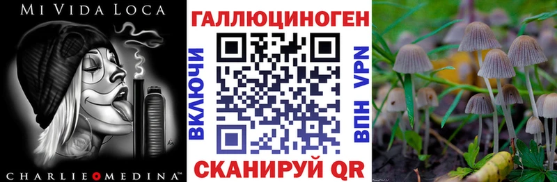 Галлюциногенные грибы прущие грибы  hydra   Северская 