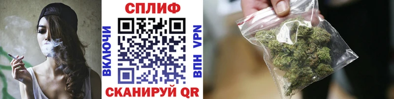 Конопля ГИДРОПОН  Северская 